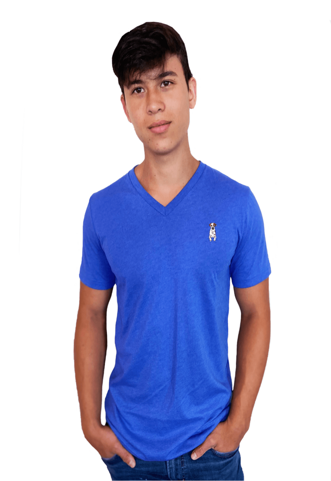 MEN'S JERSEY SHORT SLEEVE V-NECK T-SHIRT